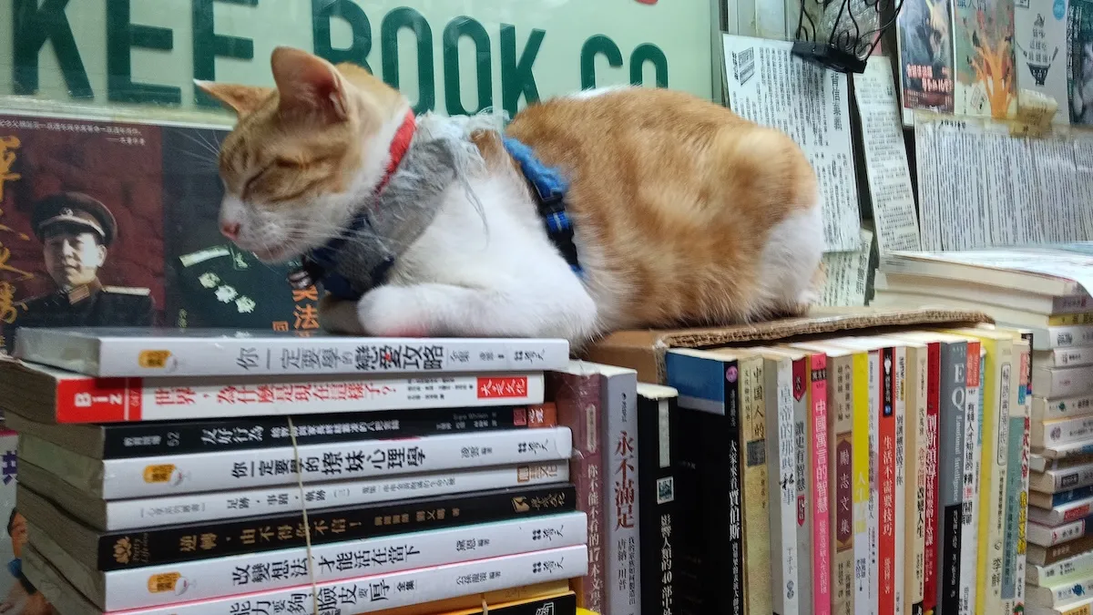 新股 IPO，新幣 ICO，新書 IBO：我如何用 100 本書發起一場出版革命